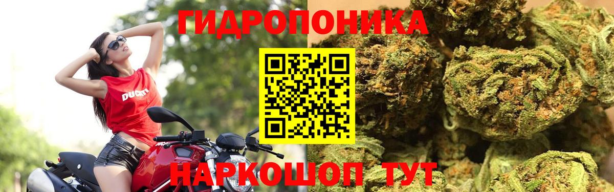 Конопля планчик Воскресенск